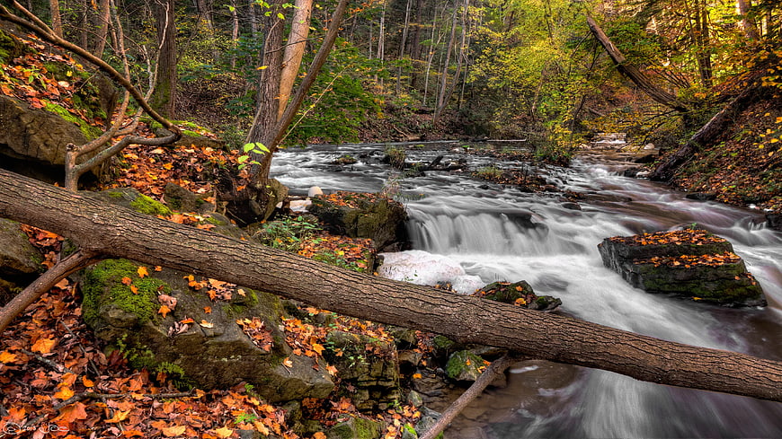 Autumn Forest Stream with Long Exposure Waterfall