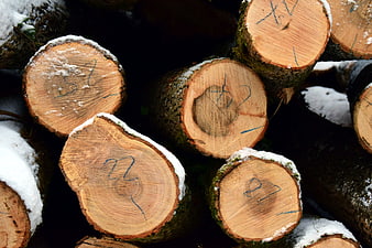 Stacked firewood logs with snow and blue markings