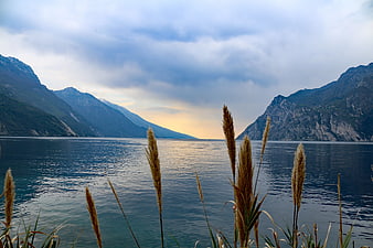 Serene Lake Landscape with Reeds and Mountains
