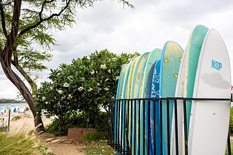 Colorful surfboards in rack near tropical beach