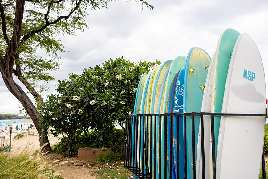 Colorful surfboards in rack near tropical beach