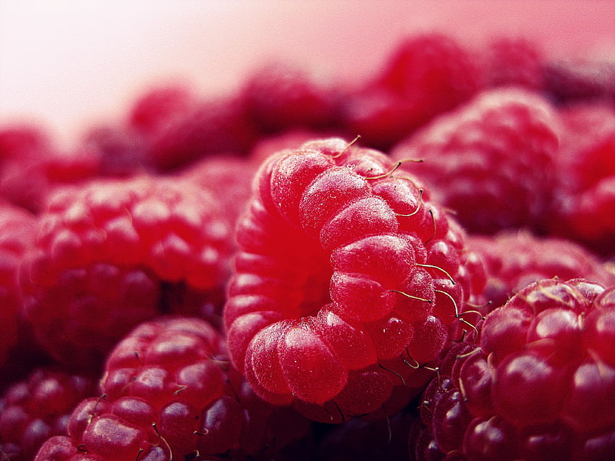 Macro Close-Up of Fresh Red Raspberries