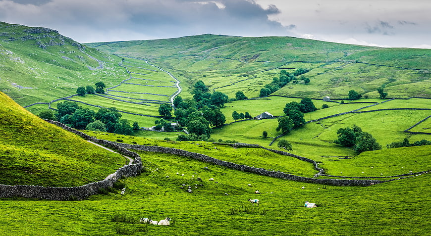 Rolling Green Hills and Dry Stone Walls in Yorkshire Dales