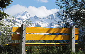 Yellow wooden bench in a meadow with snow-capped mountains in the background