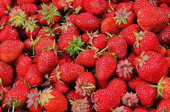 Close-up of fresh ripe red strawberries with green leaves