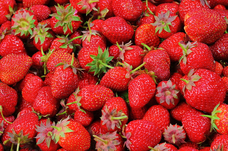 Close-up of fresh ripe red strawberries with green leaves