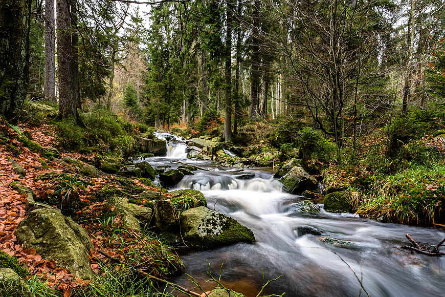 Serene Forest Stream with Waterfall in Autumn