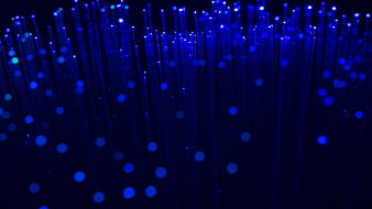 Abstract Blue Fiber Optic Light Strands On Black Background
