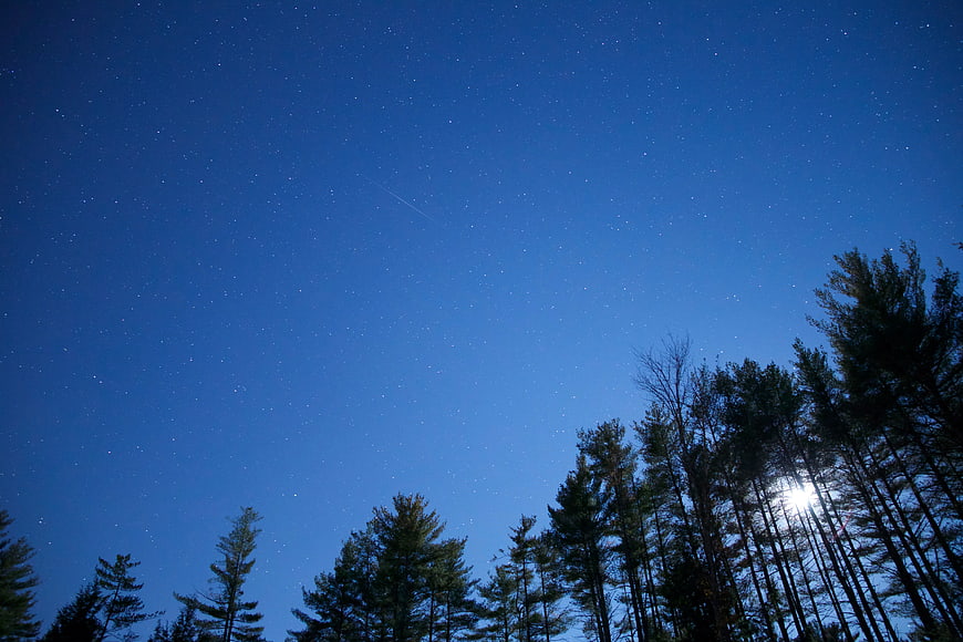 Night Sky with Stars and Moon Over Pine Forest Silhouette