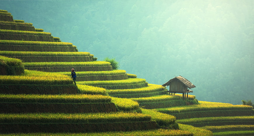 Rice Terraces with Farmer and Hut in Misty Mountains