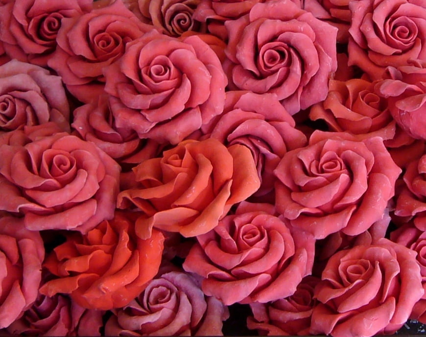 Pink and Orange Rose Shaped Soap Collection
