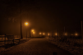 Foggy Night Path with Streetlights and Bench