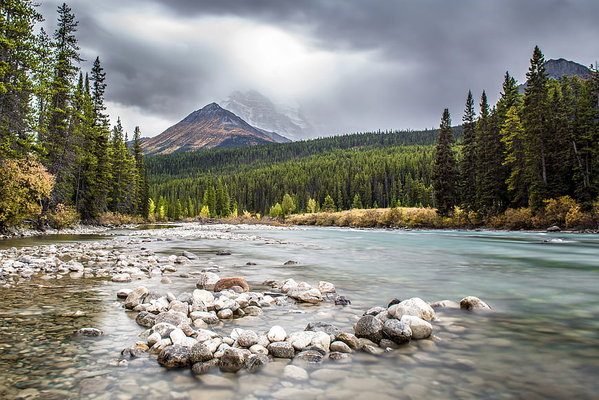 Misty Mountain River Landscape with Pine Forest