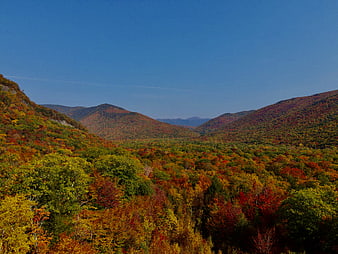 Vibrant Autumn Mountain Valley with Colorful Foliage