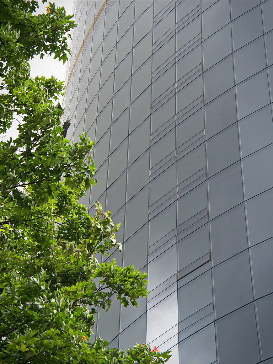 Modern Glass Office Building Facade with Green Tree