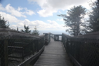 Wooden boardwalk path leading to mountain viewpoint with pine trees