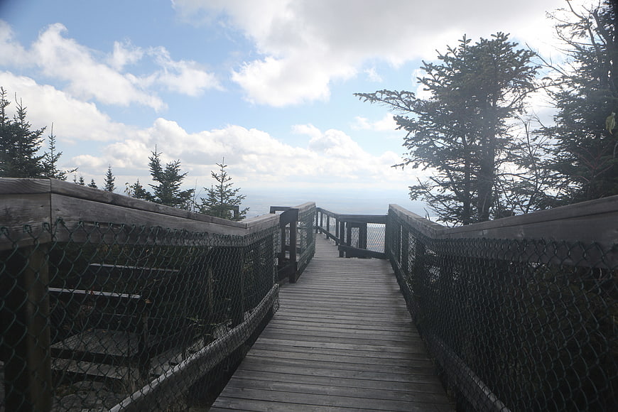 Wooden boardwalk path leading to mountain viewpoint with pine trees