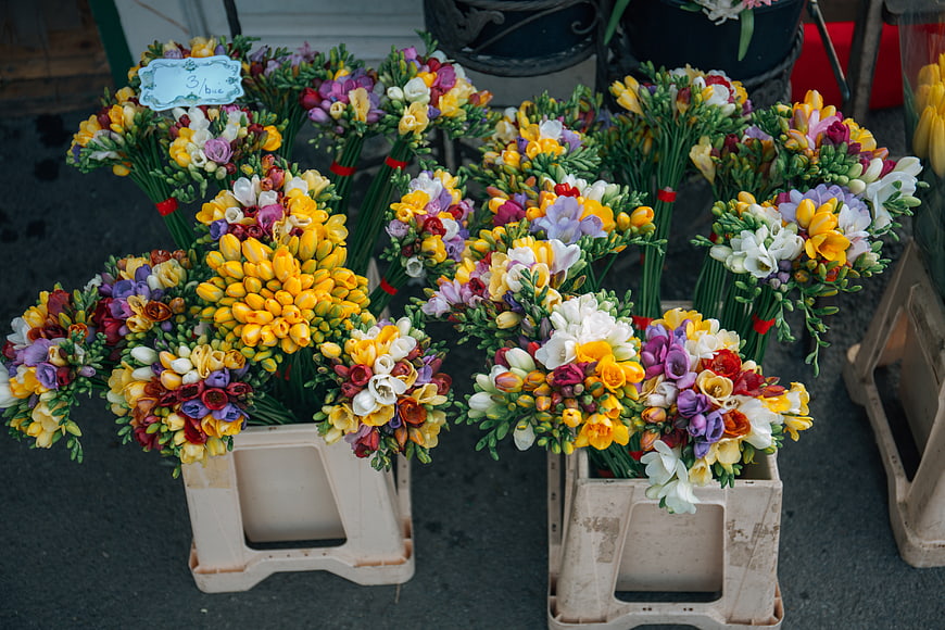 Colorful Freesia Flower Bunches in Crates at Market