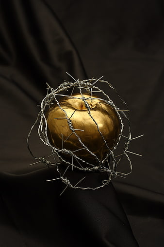 Golden Apple Wrapped in Barbed Wire on Black Background