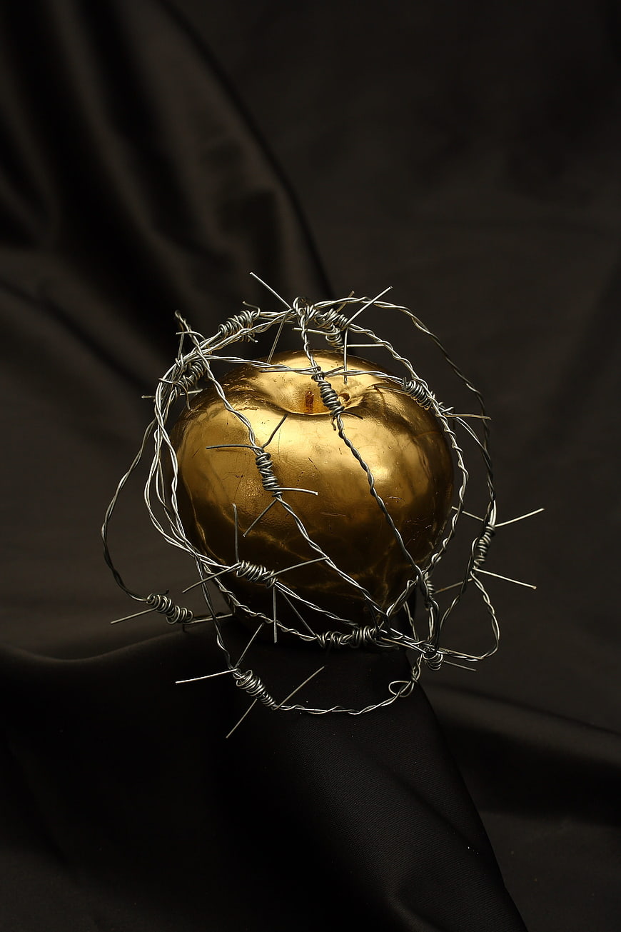 Golden Apple Wrapped in Barbed Wire on Black Background