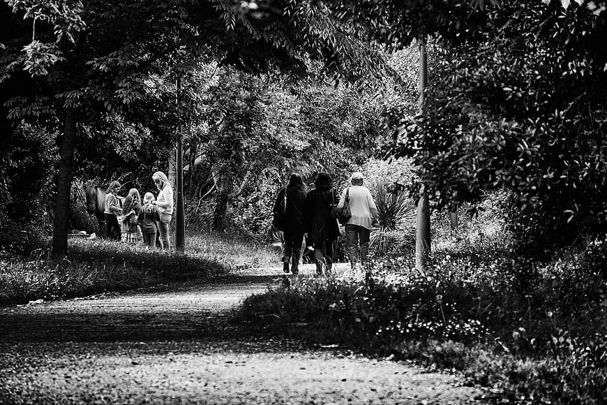 Black and white photo of people walking on a forest path
