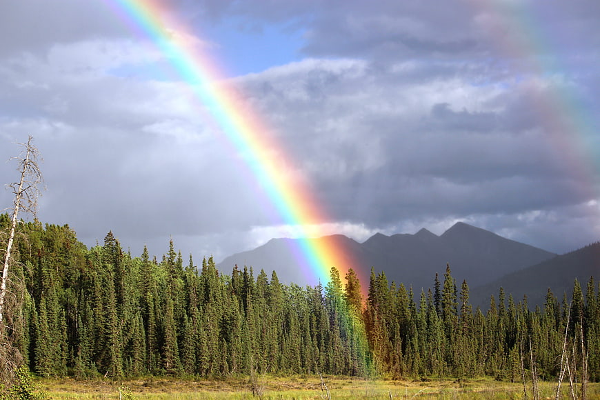 Vibrant Double Rainbow Over Forest and Mountains