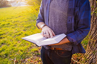 Man Reading Book Outdoors in Park at Sunset