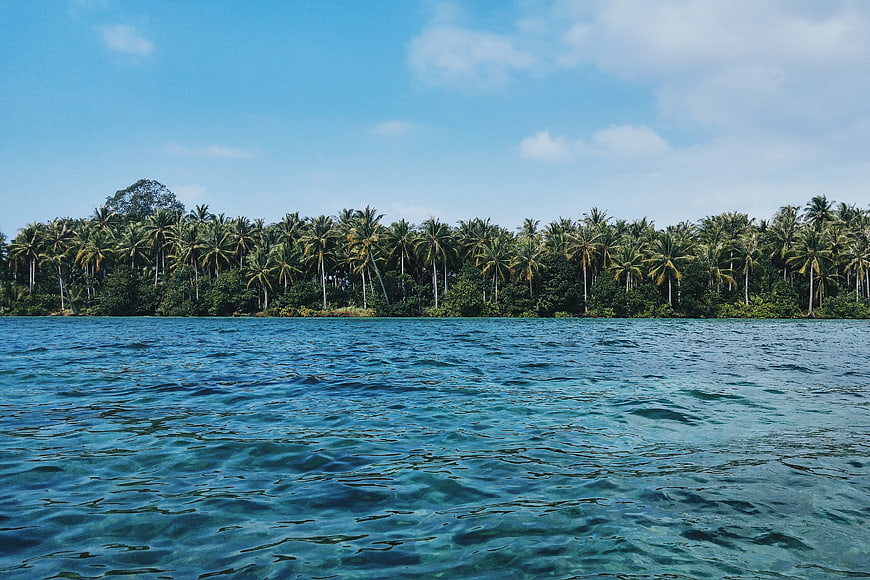 Tropical Palm Trees Lining Turquoise Ocean Coastline