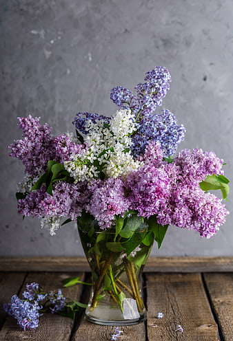 Colorful Lilac Bouquet in Glass Vase on Rustic Wood