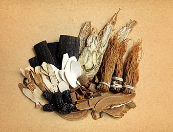 Assortment of dried traditional Chinese herbal medicine ingredients