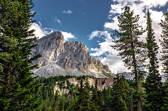 Majestic Dolomite Mountain Peak Framed by Pine Trees