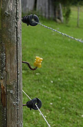 Close-up of weathered wooden fence post with insulators and wire