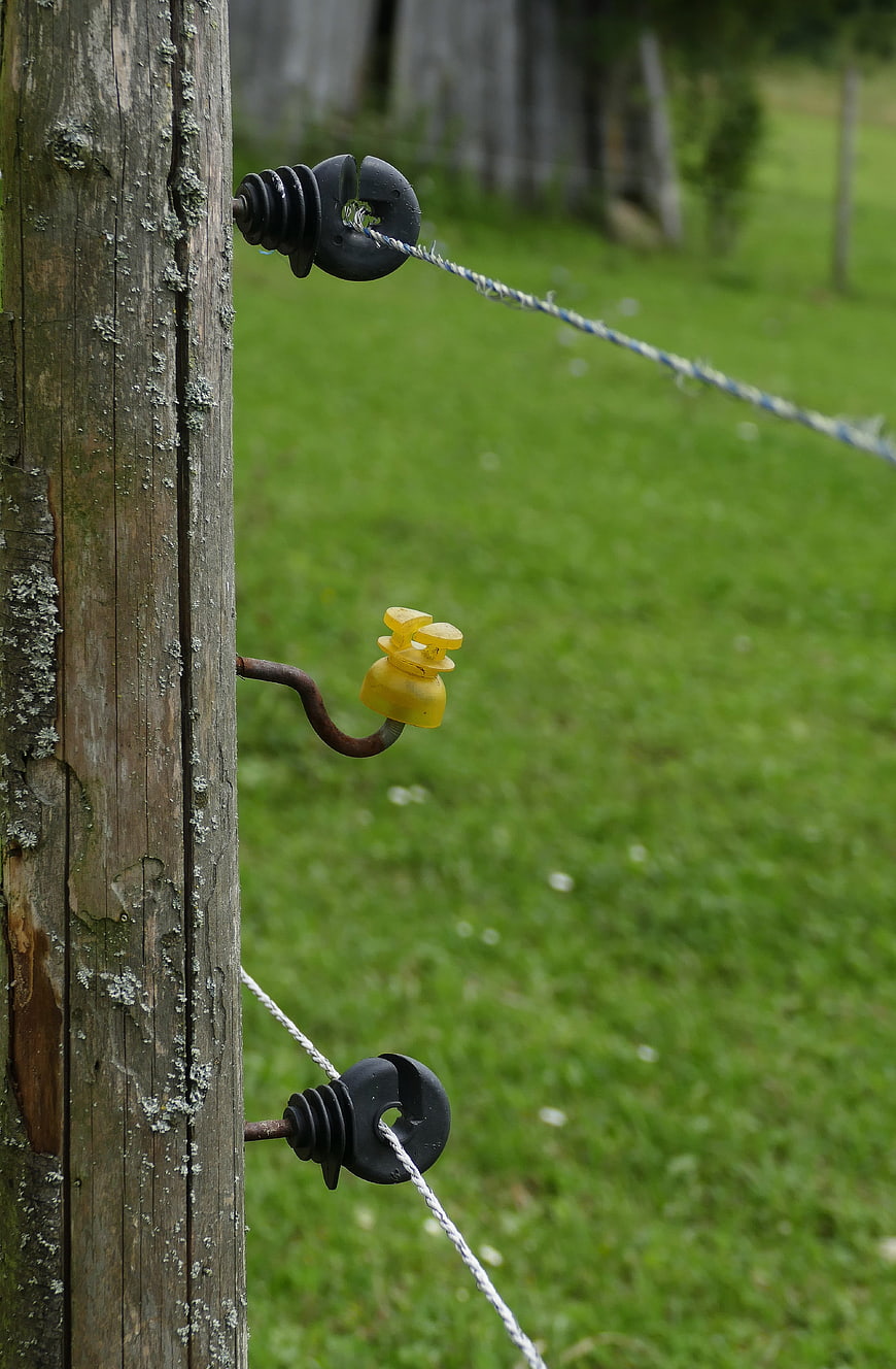 Close-up of weathered wooden fence post with insulators and wire