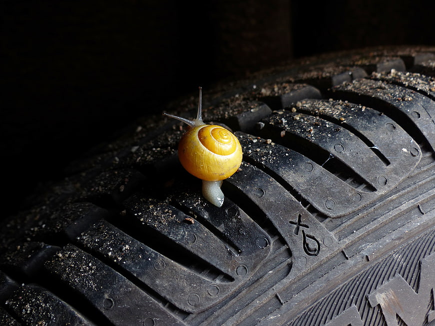 Yellow Snail Crawling on Textured Black Car Tire Tread