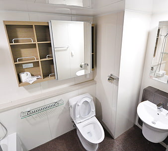 Compact Modern Bathroom Interior With White Toilet And Wall Sink