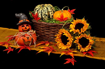 Halloween and Autumn Harvest Still Life with Pumpkins and Sunflowers