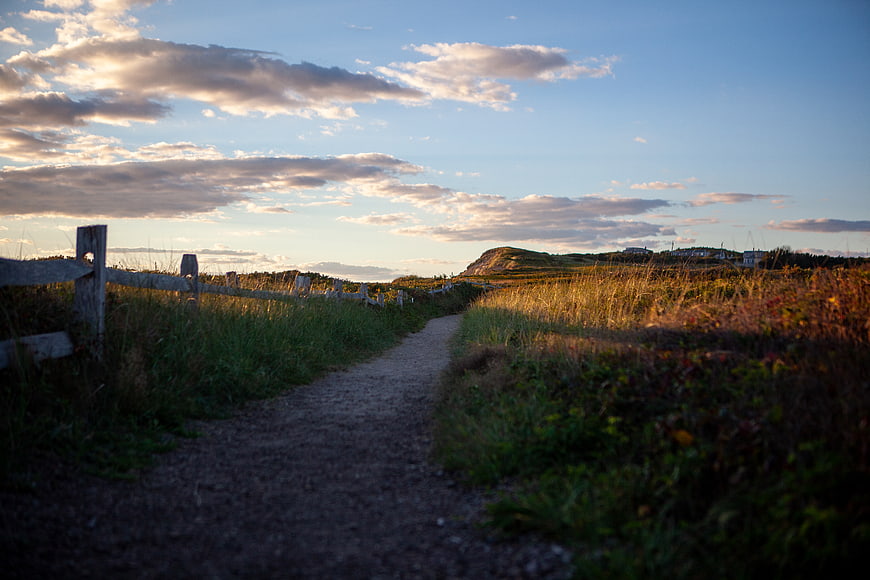 Gravel path through grassy field at sunset with wooden fence