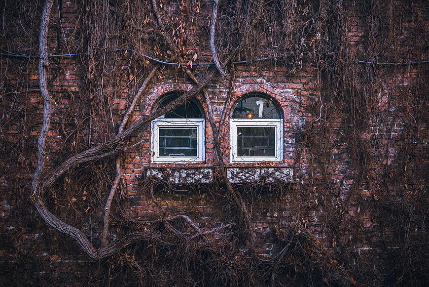 Overgrown brick wall with arched windows and autumn vines