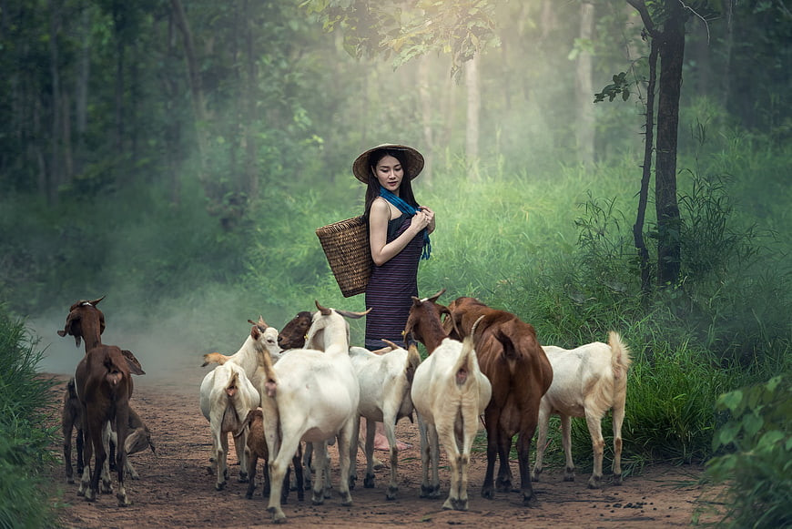 Woman in Traditional Hat Herding Goats on Misty Forest Path