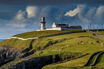 Dramatic coastal lighthouse on green hill with grazing cows