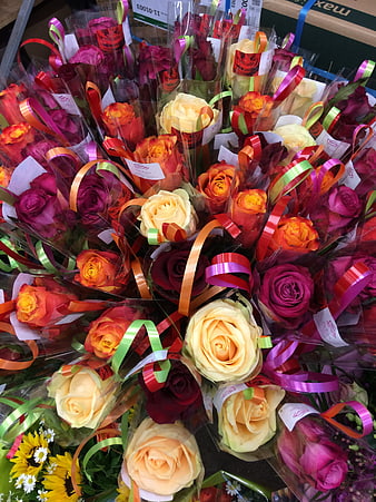 Colorful Rose Bouquets Wrapped in Cellophane and Ribbons