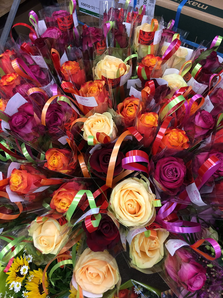 Colorful Rose Bouquets Wrapped in Cellophane and Ribbons