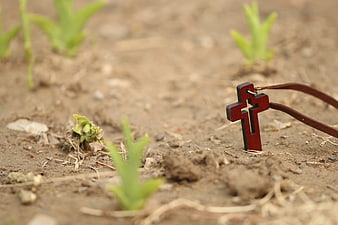 Wooden Cross Necklace in Garden Soil with Sprouts