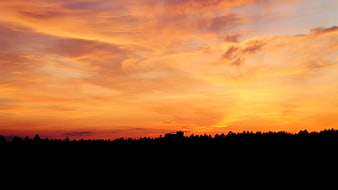 Vibrant Orange Sunset Sky Over Silhouetted Forest