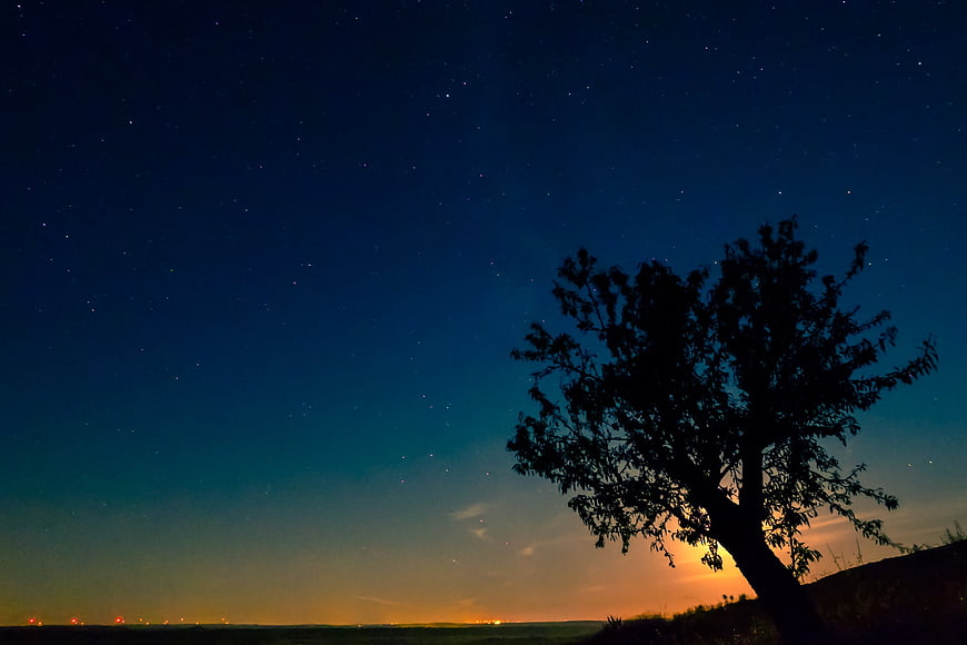Silhouette of a tree against a starry night sky with a glowing horizon