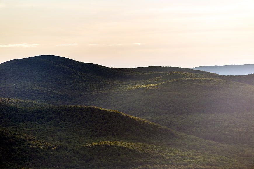 Serene forested mountain range at golden hour