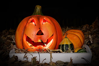 Glowing Jack-O-Lantern in White Crate with Autumn Leaves
