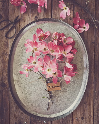 Pink Dogwood Flowers on Rustic Metal Tray Flat Lay