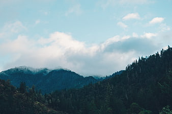 Misty Mountain Forest Landscape with Clouds