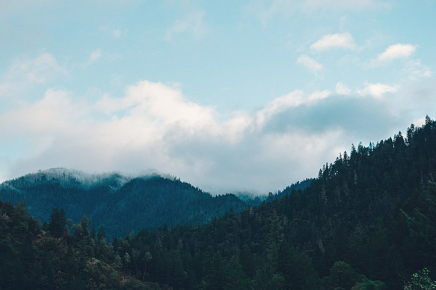 Misty Mountain Forest Landscape with Clouds